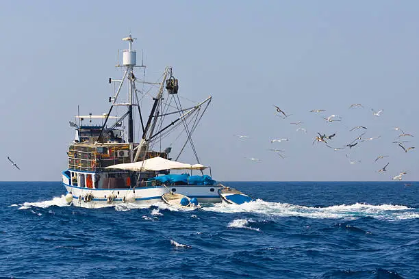 Photo of Fishing boat being followed by seagulls