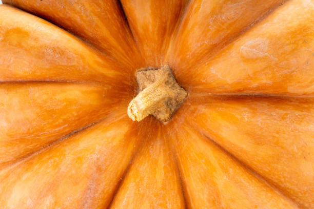 Hokkaido pumpkin full frame background.