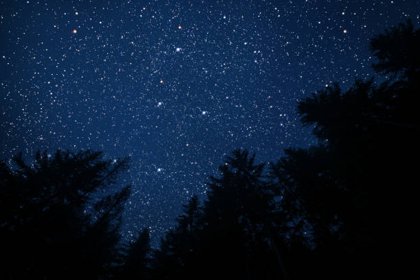 istock The star indicates the christmas 1184149830