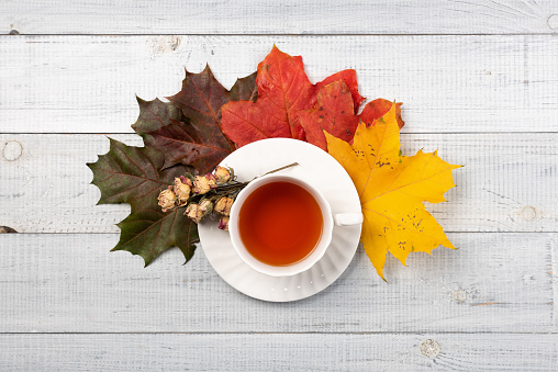 A cup of tea on yellow and red foliage isolated on a white background table. Autumn concept, top view