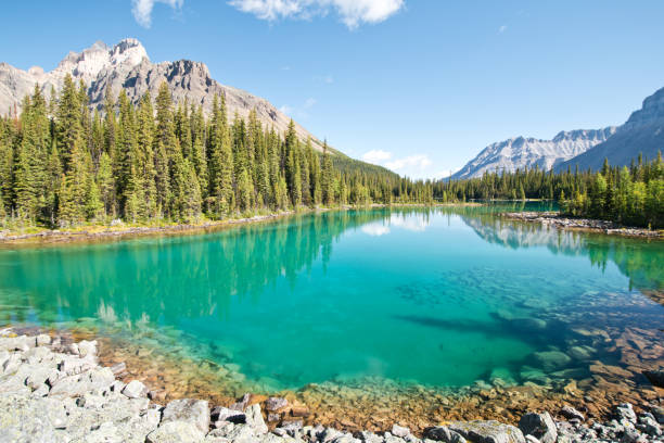 istock Linda lake in Yoho national park 1184154703