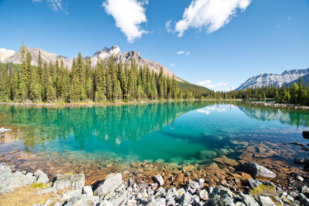 istock Linda lake in Yoho national park 1184155258