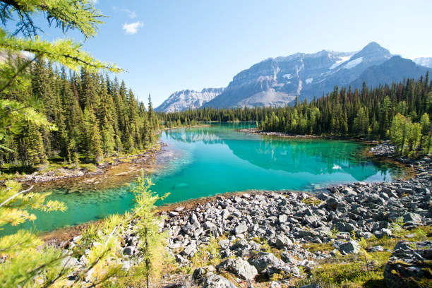 istock Linda lake in Yoho national park 1184155259