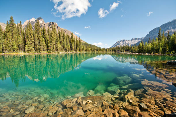 istock Linda lake in Yoho national park 1184155292