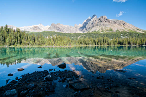 istock Linda lake in Yoho national park 1184155308