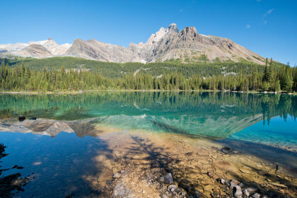 istock Linda lake in Yoho national park 1184155350
