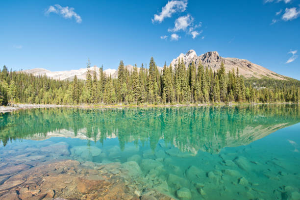 istock Linda lake in Yoho national park 1184155351