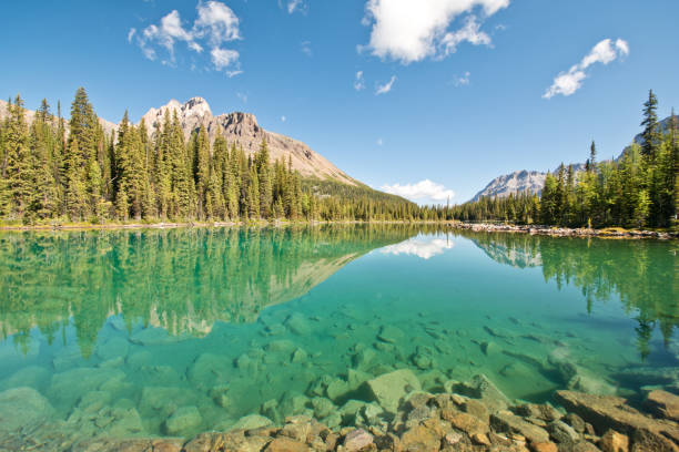istock Linda lake in Yoho national park 1184155352