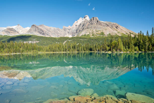 istock Linda lake in Yoho national park 1184155378