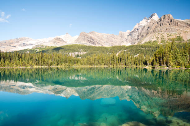 istock Linda lake in Yoho national park 1184155380