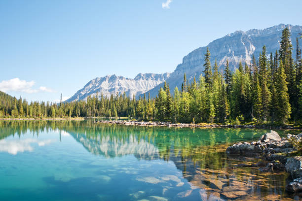istock Linda lake in Yoho national park 1184155383