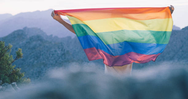 istock Man is looking at the view, holding a rainbow flag 1184155883