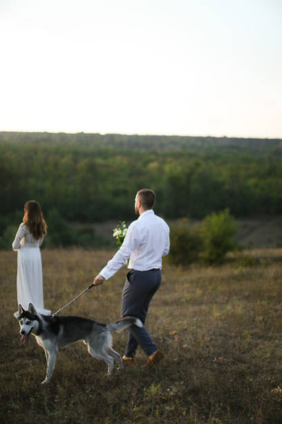 istock Groom and bride walking in steppe with dog husky 1184156515