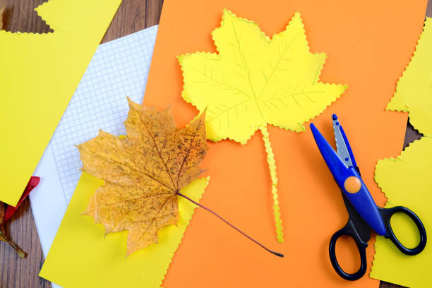 istock top view autumn decoration tinker with Maple leave and scissors. 1184156734