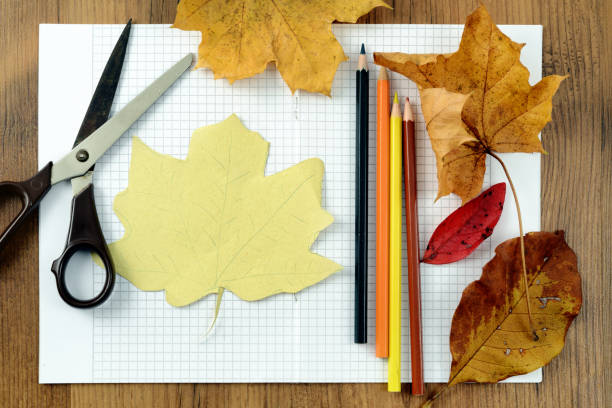 istock top view autumn decoration tinker with Maple leave and scissors. 1184156781