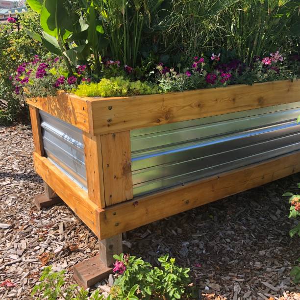 istock Raised planter bed with wood trim and metal side 1184159273