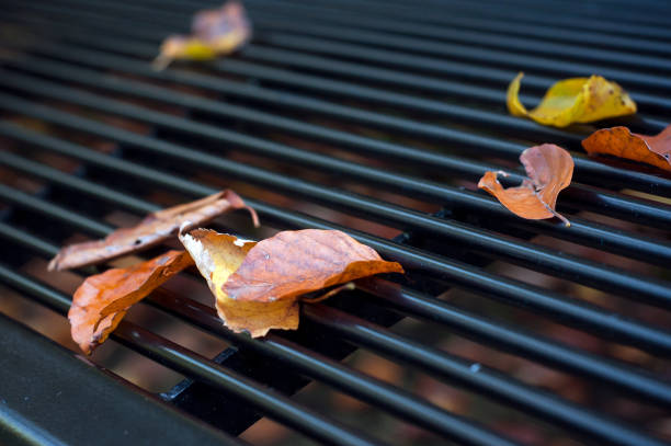 Closeup of autumnal leaves on a metallic bench in urban park