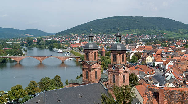 istock Miltenberg aerial view at summer time 118416129