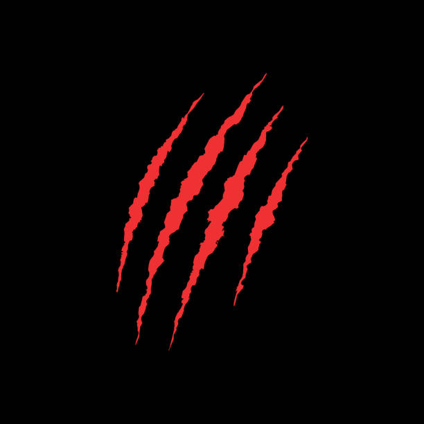 bildbanksillustrationer, clip art samt tecknat material och ikoner med klor scratch desig - klo