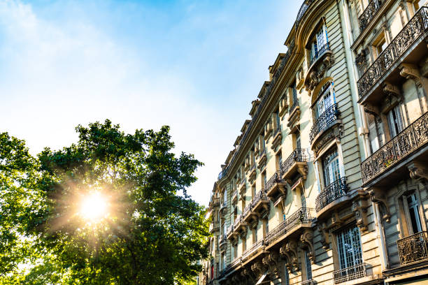 istock Old houses in Paris 1184162398