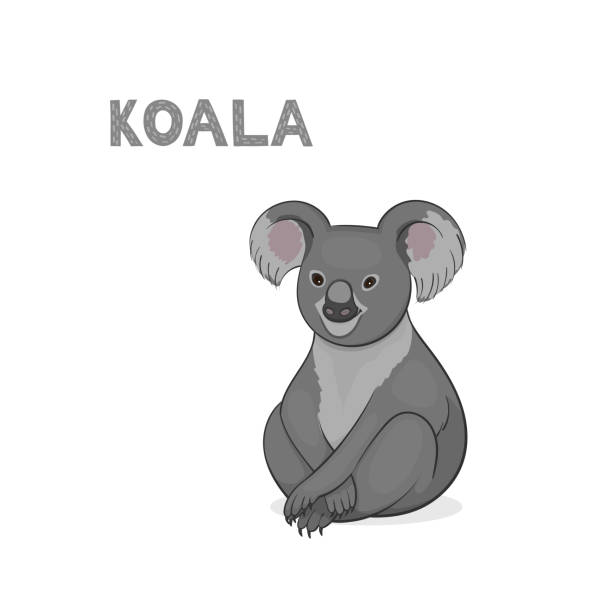 벡터 일러스트, 흰색 배경에 고립 된 만화 coala. 동물 알파벳. - asocial stock illustrations