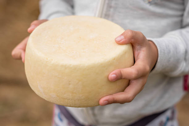 Wheels of Deli Cheeses.  I would enjoy hearing how you use this image. Thanks.