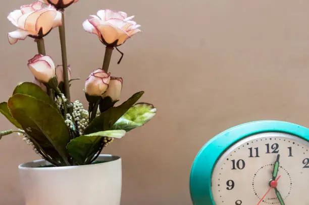 A flower vase and an alarm clock isolated. Holiday background Design element. Copy space room for text.