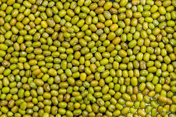 istock organic mung bean seeds background 1184167738