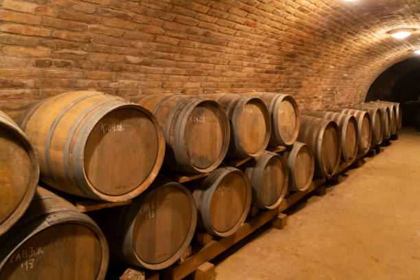 istock wine barrels in the cellar, Szekszard, Hungary 1184168969