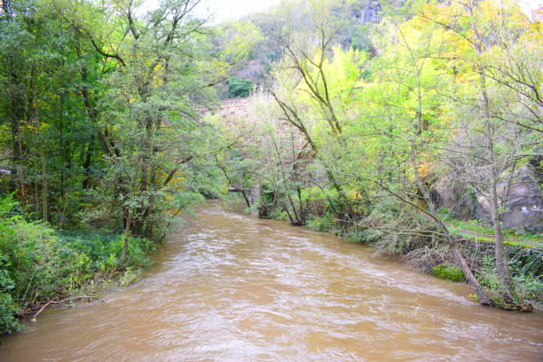 istock autumn in Ahr valley 1184172461