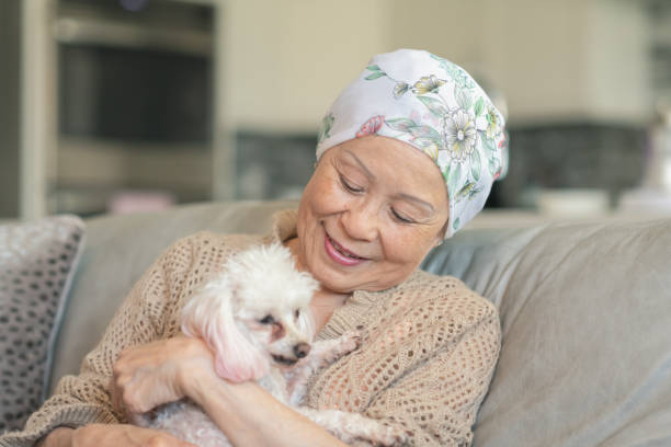 Senior Cancer Patient Enjoys a Snuggle wit Her Dog stock photo A female elderly oncology patient sits on her sofa in the comfort of her own home, while enjoying an embrace with her favorite furry pet insurance pets dog doctor stock pictures, royalty-free photos & images