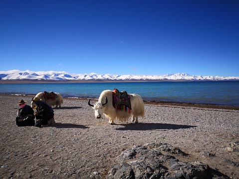 Tibet, China - October 07, 2019 - Namtso lake lies at an elevation of 4,718 m and has a surface area of 1,920 km2. This salt lake is the largest lake in the Tibet Autonomous Region