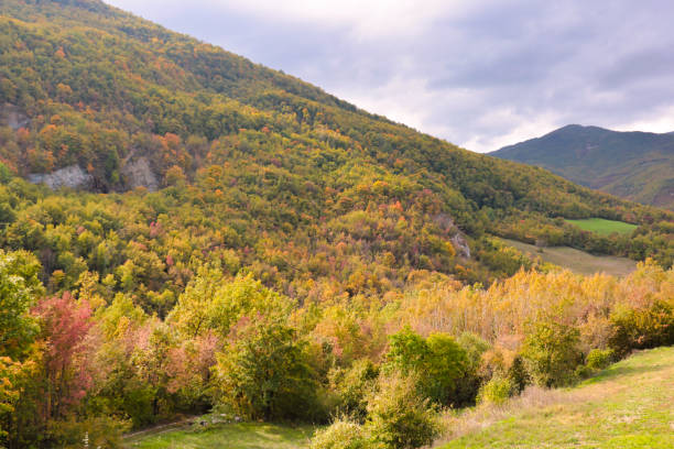 istock landscape of emilia-romagna hills in autumn 1184177745