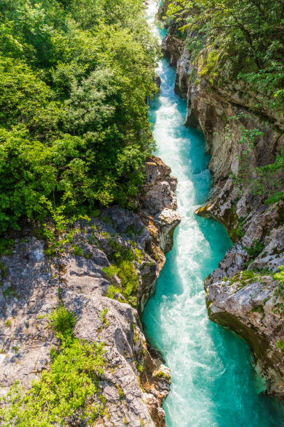 istock Rriver Soca, Triglavski national park, Slovenia 1184178314
