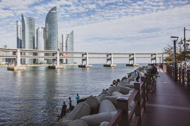 Busan, Korea - September 18, 2019: View of the Gwangan Bridge in Busan. In the foreground, a cyclist takes a break on the boardwalk and on the embankment several men are fishing.