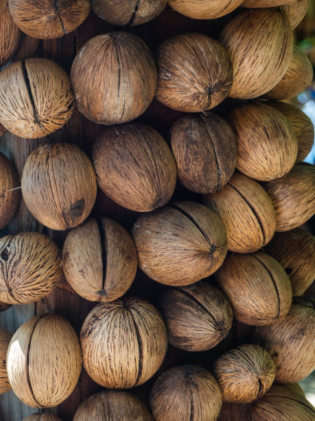 istock The texture of the dry shell of a decorative fruit hanging on threads 1184180898