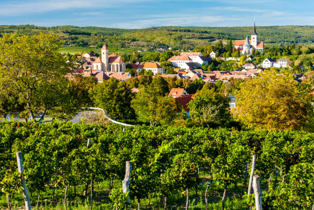 istock vineyard near Pulkau in Austria 1184183324