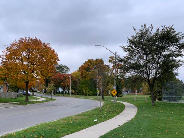 istock Autumn colors in the street 1184184005