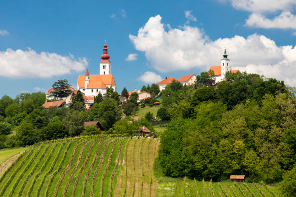 istock Town Straden and wineyards in Styria, Austria 1184184009