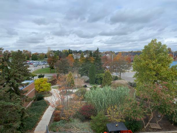istock Autumn colors in the street 1184184013
