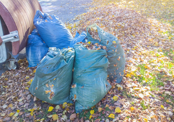 istock Plastic bin bags with a fallen autumn leaves for transportation and utilization. Cleaning the streets in the fall. Selective focus, toned image. 1184184169
