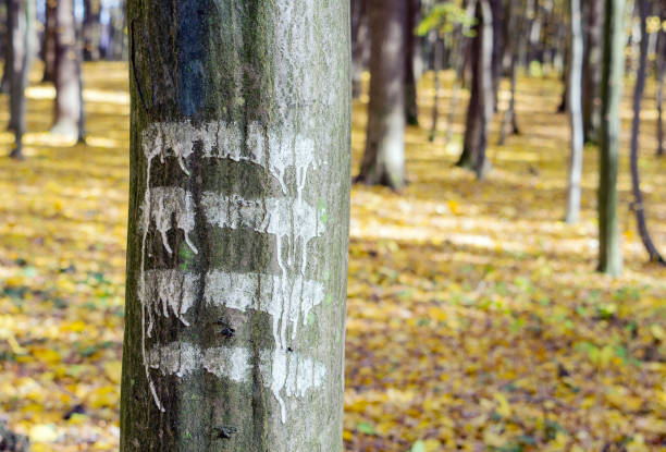 istock Marks for walker on a tree trunk in the autumn forest. 1184184950