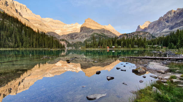 istock Lake O'hara in Yoho national park, Canada 1184185224