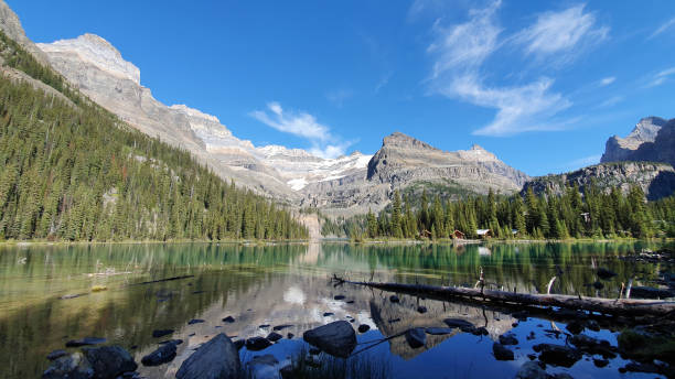 istock Lake O'hara in Yoho national park, Canada 1184185295