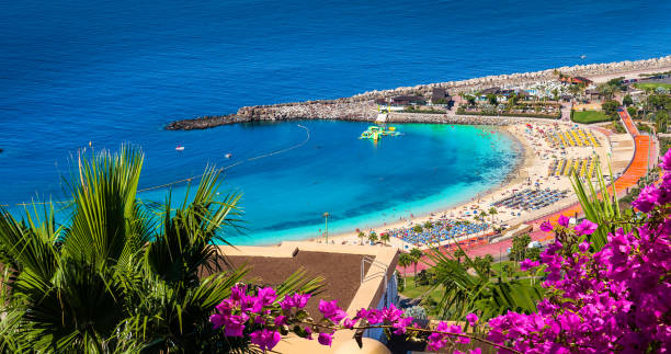 istock Landscape with Amateur beach 1184185319