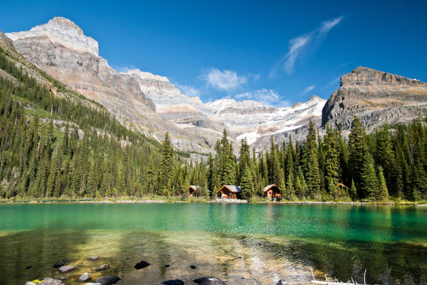 istock Lake O'hara in Yoho national park, Canada 1184186355