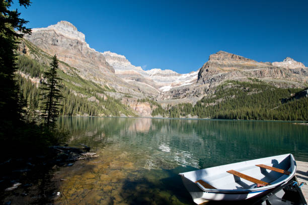 istock Lake O'hara in Yoho national park, Canada 1184186418