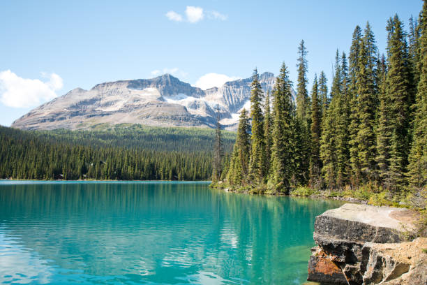 istock Lake O'hara in Yoho national park, Canada 1184186837