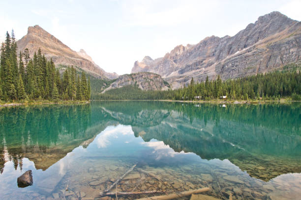 istock Lake O'hara in Yoho national park, Canada 1184186980