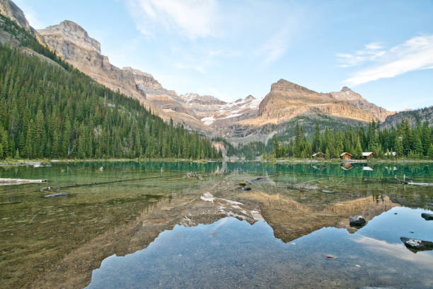 istock Lake O'hara in Yoho national park, Canada 1184187014